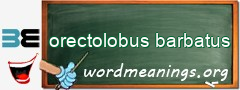 WordMeaning blackboard for orectolobus barbatus